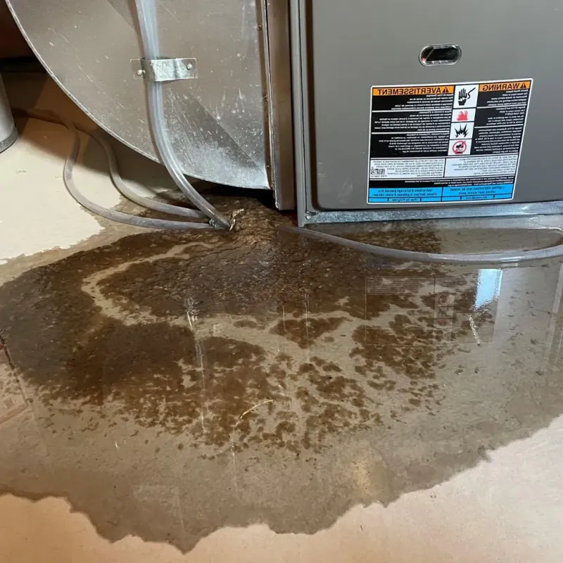 Pipe Burst and Leak Restoration in Lenox, MA