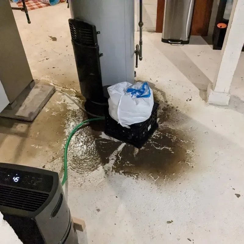 Sewage Backup Cleanup Service in Lenox, MA